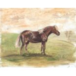 20th century, oil on canvas, naive study of a horse, 40x50cm