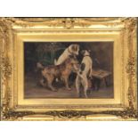 Early 20th century oil, study of three terriers, signed H Allcock lower left, oil on canvas, 22x34.