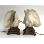 A pair of conch shell table lamps, each approx. 32cmH