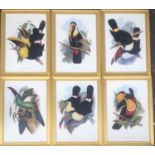 A set of six modern colour prints of toucans after Gould and Richter, each 48x33cm