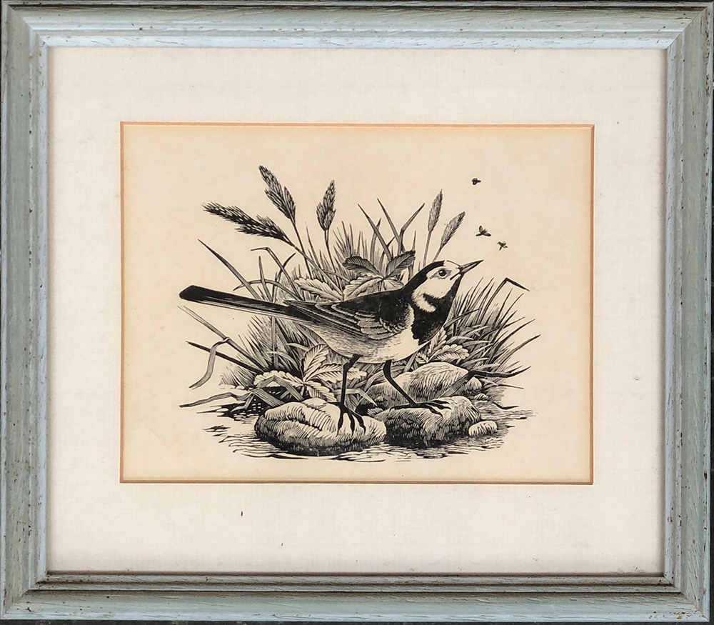 20th century woodblock print of a robin, 12x16cm