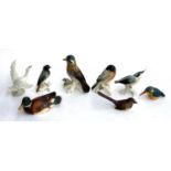Four Karl Ens porcelain bird figures, one with beak af, the tallest 17.5cmH; together with a