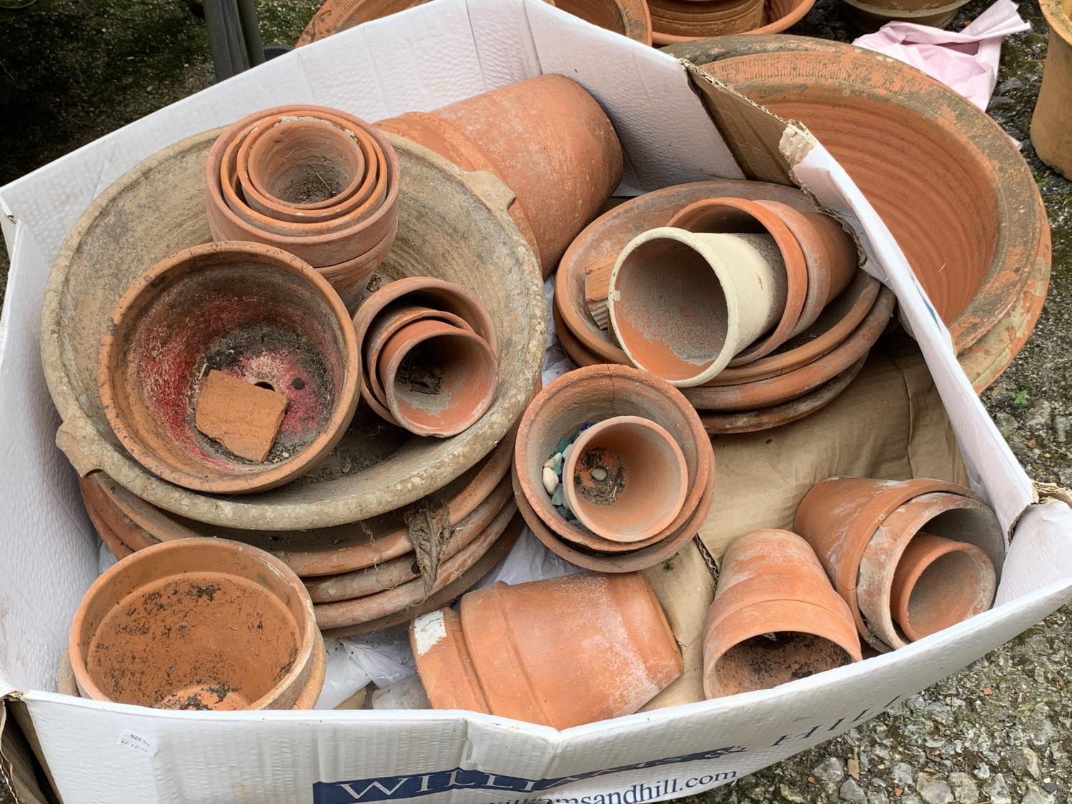 A quantity of terracotta plant pots and saucers