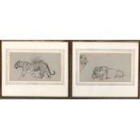 20th century, charcoal on paper, a pair of big cat studies, each 13x23cm