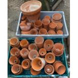 Two boxes of small terracotta plant pots