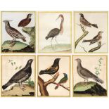 After François-Nicolas Martinet (1731-1800), a set of seven ornithological hand coloured