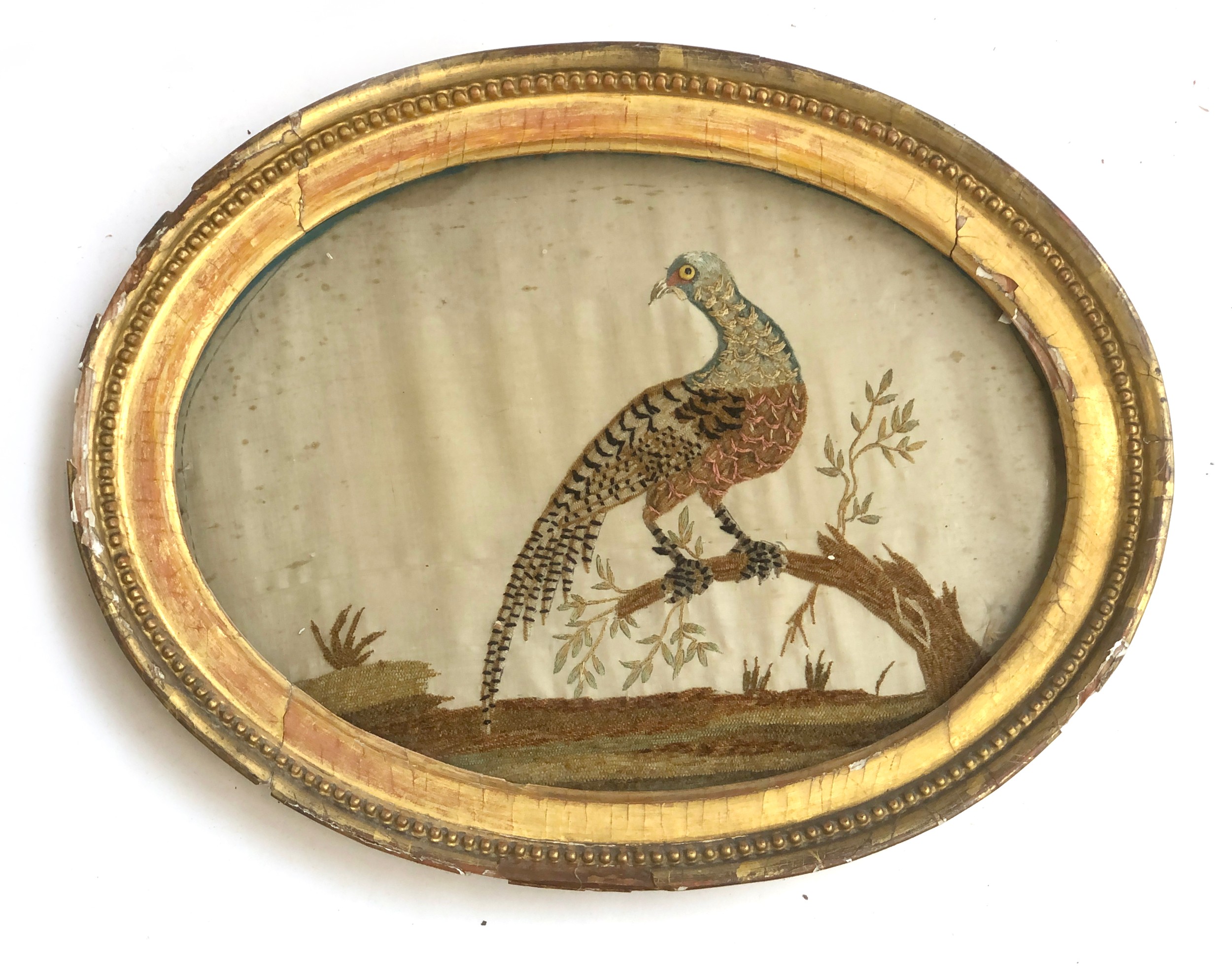 A pair of Georgian silk needleworks depicting fancy birds on stumps, in oval frames, each with glass - Bild 3 aus 5