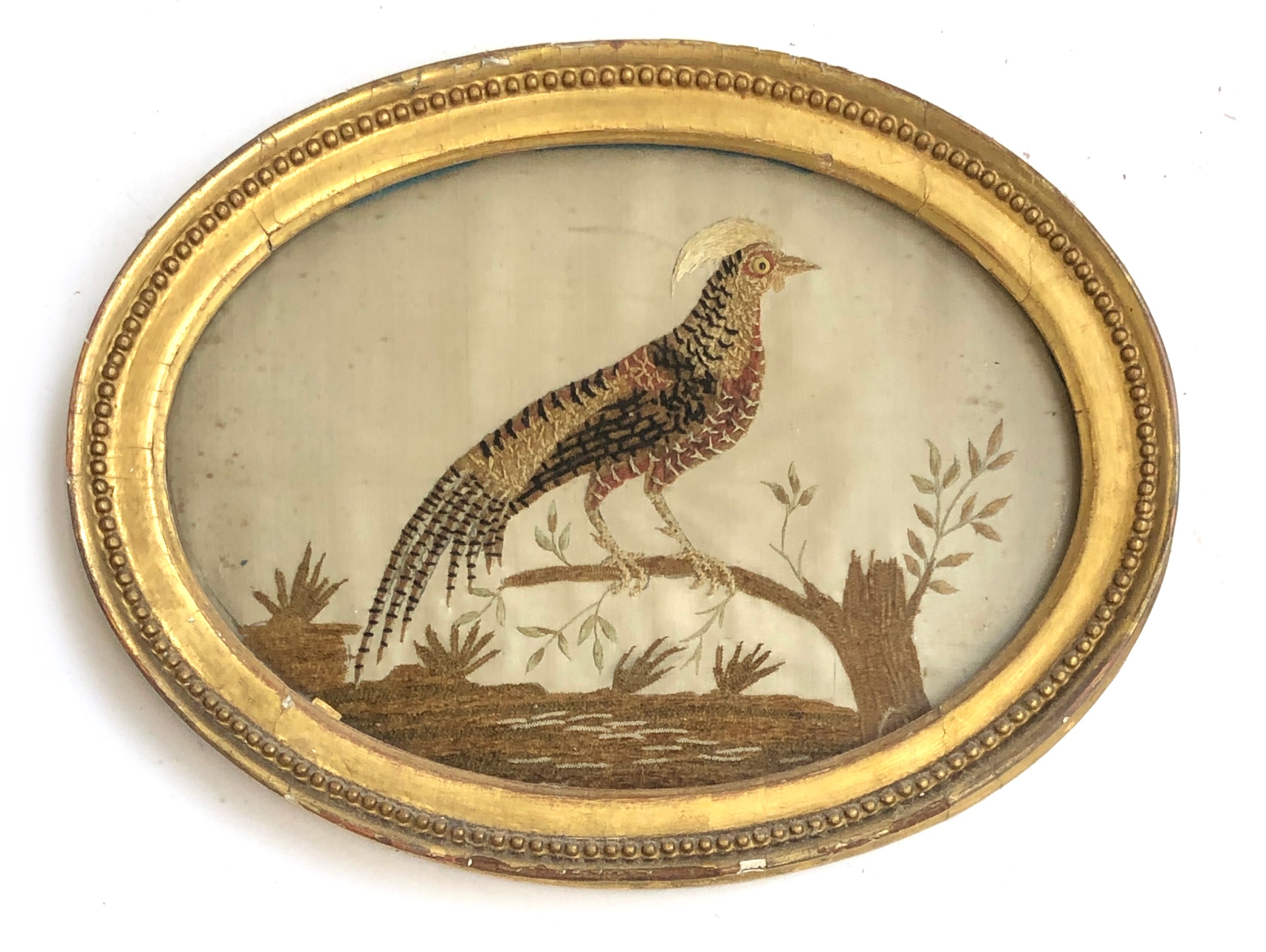 A pair of Georgian silk needleworks depicting fancy birds on stumps, in oval frames, each with glass - Bild 2 aus 5