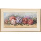 E. A Stapleton, early 20th century still life of rhododendrons, watercolour on paper, signed and dat