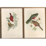 A pair of reproduction ornithological colour prints after Gould and Richter, each approx. 45x32cm