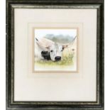 Mary Griese, 'White Park Cow', watercolour of a long horned cow, signed and dated 94, 16x15.5cm
