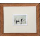 A reproduction Rembrandt print of an elephant, overall dimensions including frame, 29x35cm