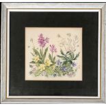 Patience Arnold (1901-1992), botanical study of primroses and irises, watercolour on paper, 15.