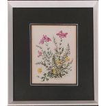 Patience Arnold (1901-1992), botanical study of heather and birdsfoot trefoil, watercolour on paper,