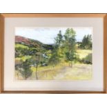Alfred Hackney (1926-1994), pastel on paper, 'Glen Clover, Angus Scotland, 1965', signed and