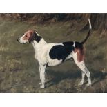 George Paice (1854-1925), Portrait of Ringwood, a foxhound, signed and dated lower right 'G. Paice',