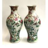A pair of large Chinese famille rose baluster vases decorated with scenes of birds amongst