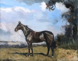 Raoul Millais (1901-1999) Portrait of a dark bay hunter standing in a landscape, believed to be in