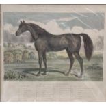 A 19th century hand coloured print of 'Arab-Toorkman Charger (From Syria), The Property of His