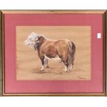 A 20th century pastel study of a prize bull, signed M Jarvis, 25x35cm