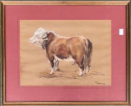 A 20th century pastel study of a prize bull, signed M Jarvis, 25x35cm