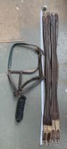 Two leather girths, cob size, 129cm and 131cm; together with a leather cob head collar and rope (3)