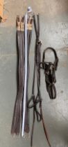 Full sized tack: Two leather girths, approx. 136cm; together with a breastplate, running