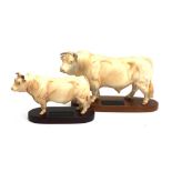 Two Beswick Charolais Bull figurines on wooden plinths, in matt finish, 17cmH and 14cmH