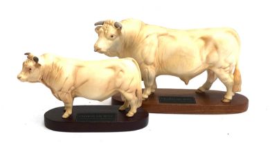 Two Beswick Charolais Bull figurines on wooden plinths, in matt finish, 17cmH and 14cmH