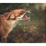 Wright Barker (1864-1941), Study of a Fox, signed and dated 'Wright Barker 1898, oil on canvas,
