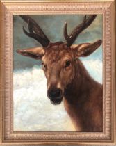 After Diego Velazquez, head of a stag, oil on canvas, 65x4cm