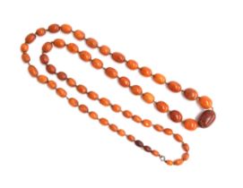 An early 20th century amber bead necklace, knotted, the beads graduating from 1.1cm to 3.3cm,