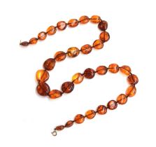 An amber bead necklace, the beads graduating from 1.3cm to 2.3cm long, with a 9ct gold bolt ring