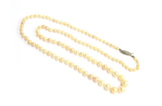 An early 20th century pearl necklace fastening with a diamond set white metal clasp, the 105