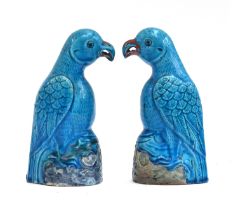 A pair of Chinese turquoise glazed porcelain parrots, 19cm high; together with a 19th century