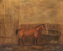 19th century English school, study of a bay hunter in a stable yard, oil on canvas, 50x60cm