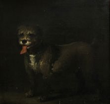 18th century oil on canvas, study of a wire haired terrier, signed indistinctly lower right, 93x96cm