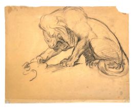 A late 19th/early 20th century charcoal study of a lion, the sheet 35.5x27.5cm