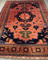 A very large wool rug, 550x394cm