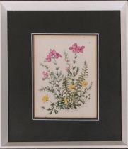 Patience Arnold (1901-1992), seven watercolour botanical studies, each signed, various sizes (7)
