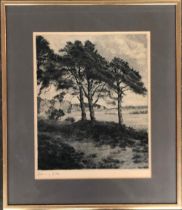 Werner Rathmann (German, 1882-1950) Baumlandschaf 1943, etching, signed, 32x26cm