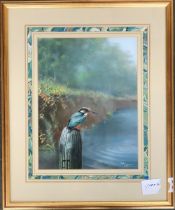 Peter R Fogarty (South African), 'Kingfisher', watercolour on paper, signed and dated '85, 32x25cm