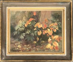 Primrose Harley (British, 1908-1978), floral study, oil on canvas, signed, 40x50cm