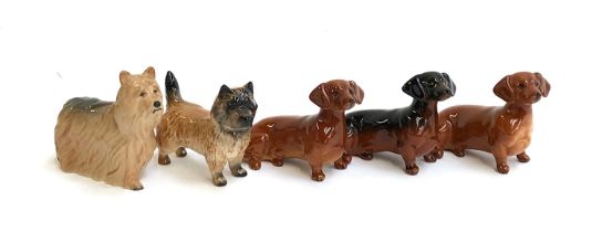 Three Beswick dachshund figurines, 11cmL together with two terriers (5)