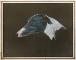 A 20th century pastel study of a greyhound, 'Salome', initialled C.H.W and dated 70, 36x46cm