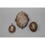 Three cameo brooches