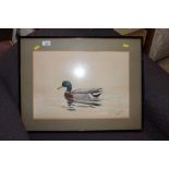 J.C. Harrison, watercolour study of a duck