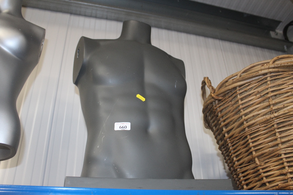 A male mannequin torso