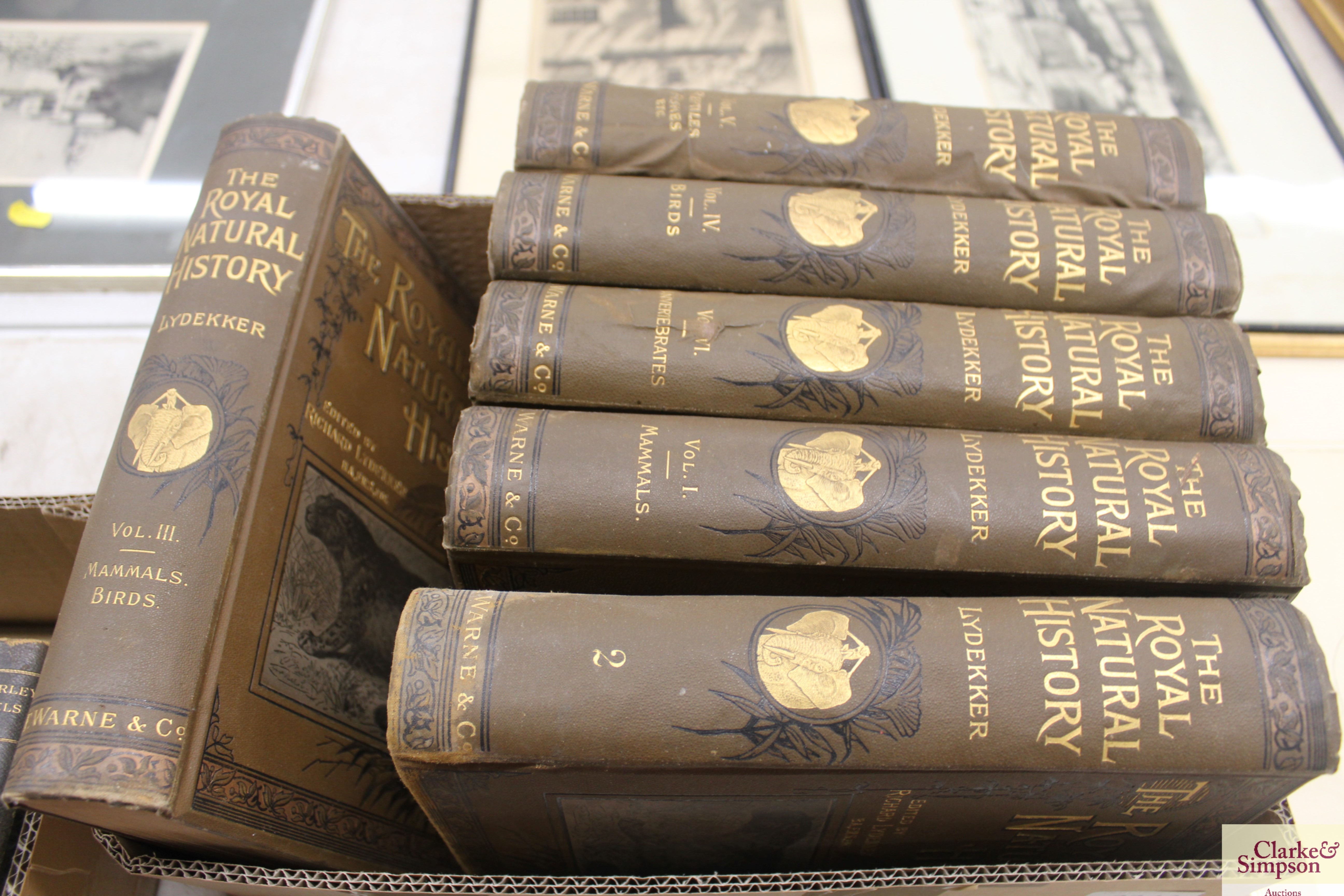 The Royal Natural History by Lydekker, six volumes