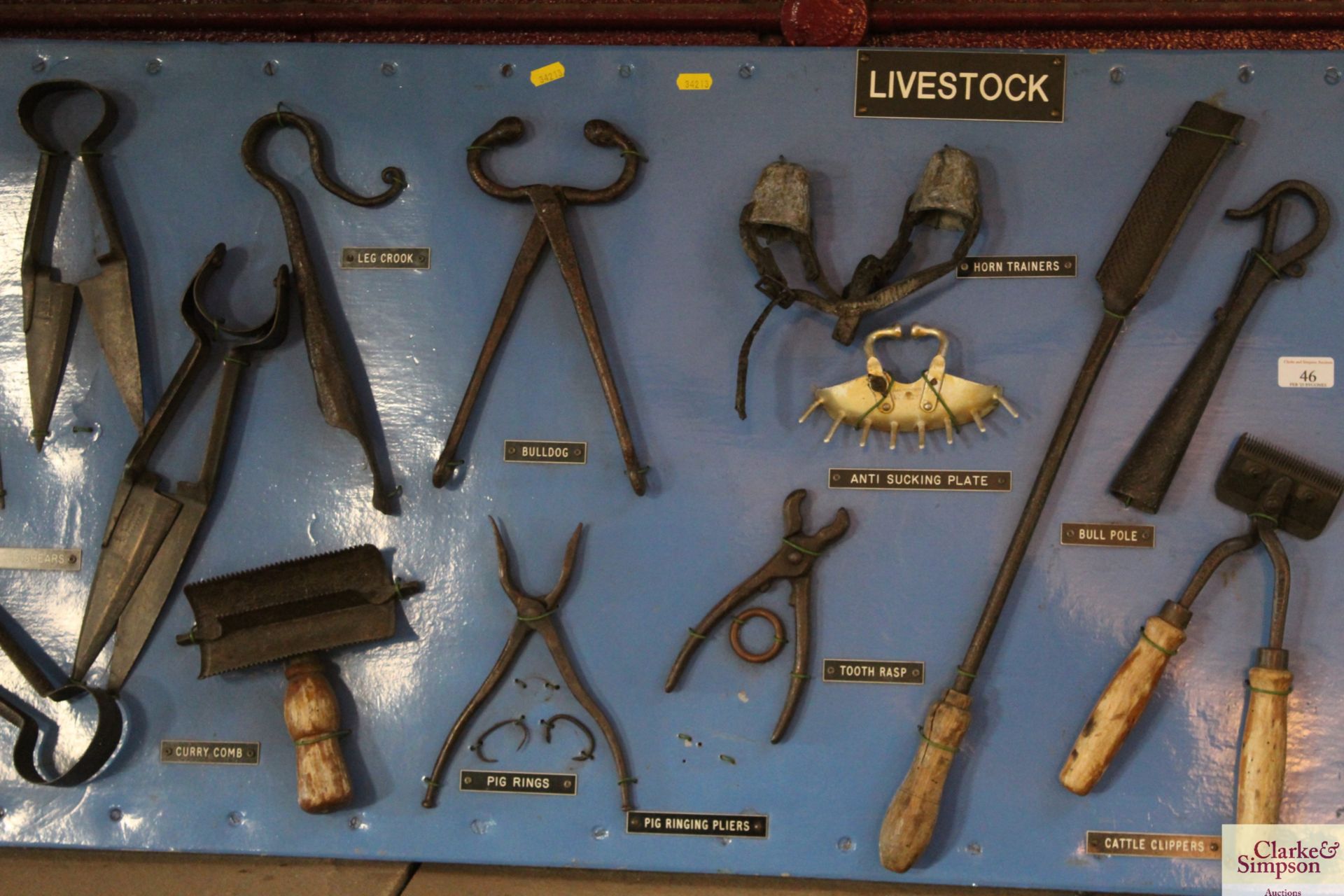 A large display board of Livestock items including sheep shears, pig rings, tooth rasp, anti - Image 3 of 4